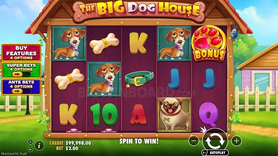 Join CC6 Casino Now! Experience Thrills and Wins!