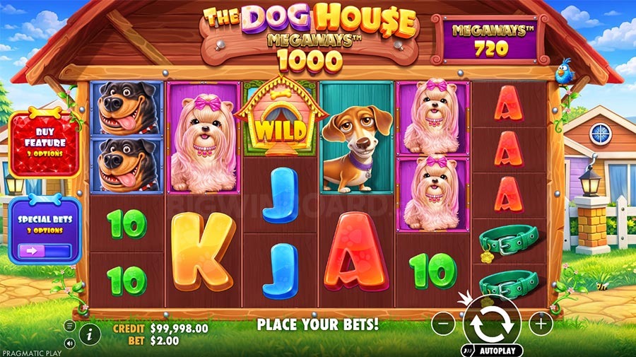 Join CC6 Casino Now! Experience Thrills and Wins!