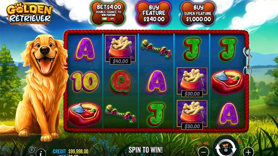 Join CC6 Casino Now! Experience Thrills and Wins!